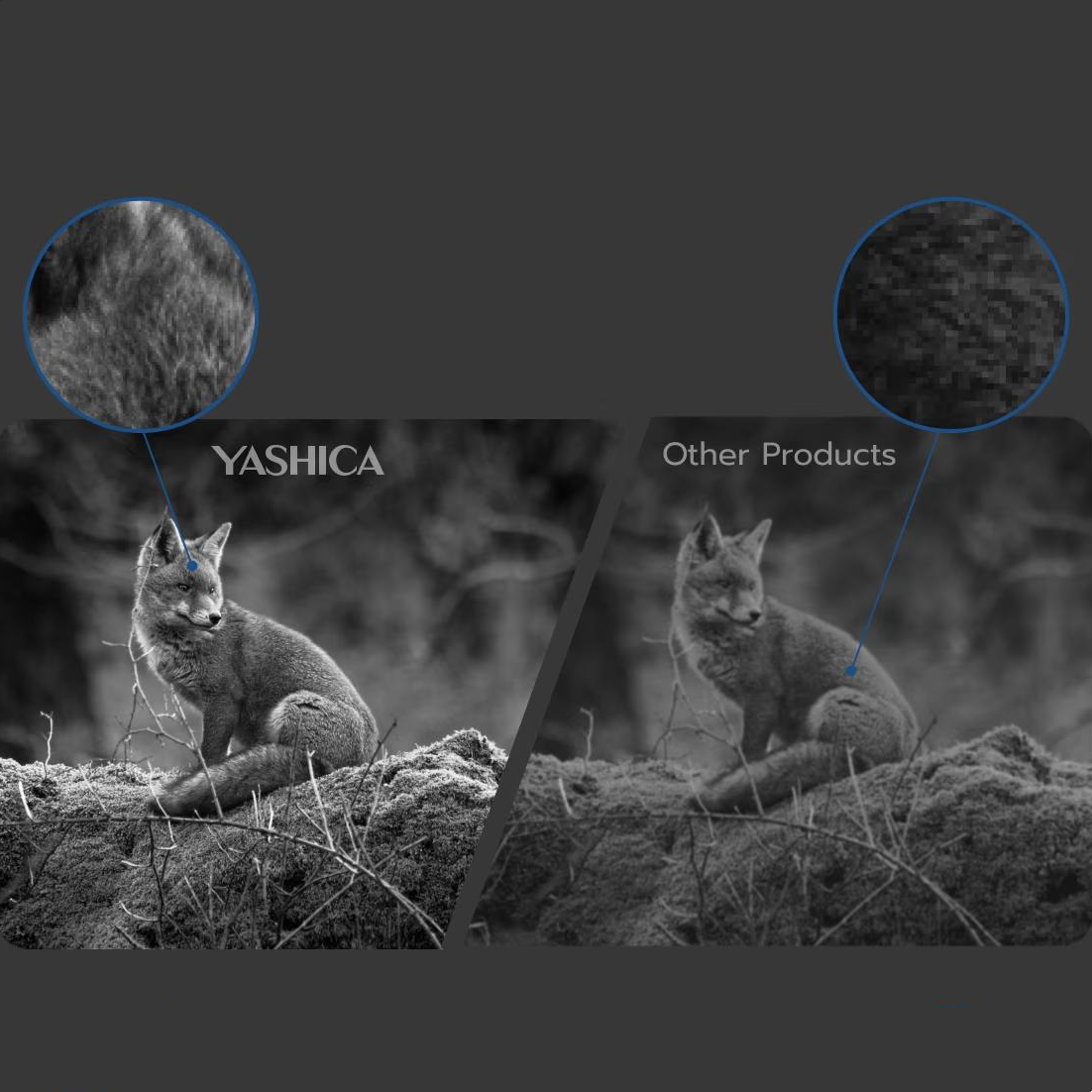 YASHICA:Binocular Night Vision Capture Night in 4K