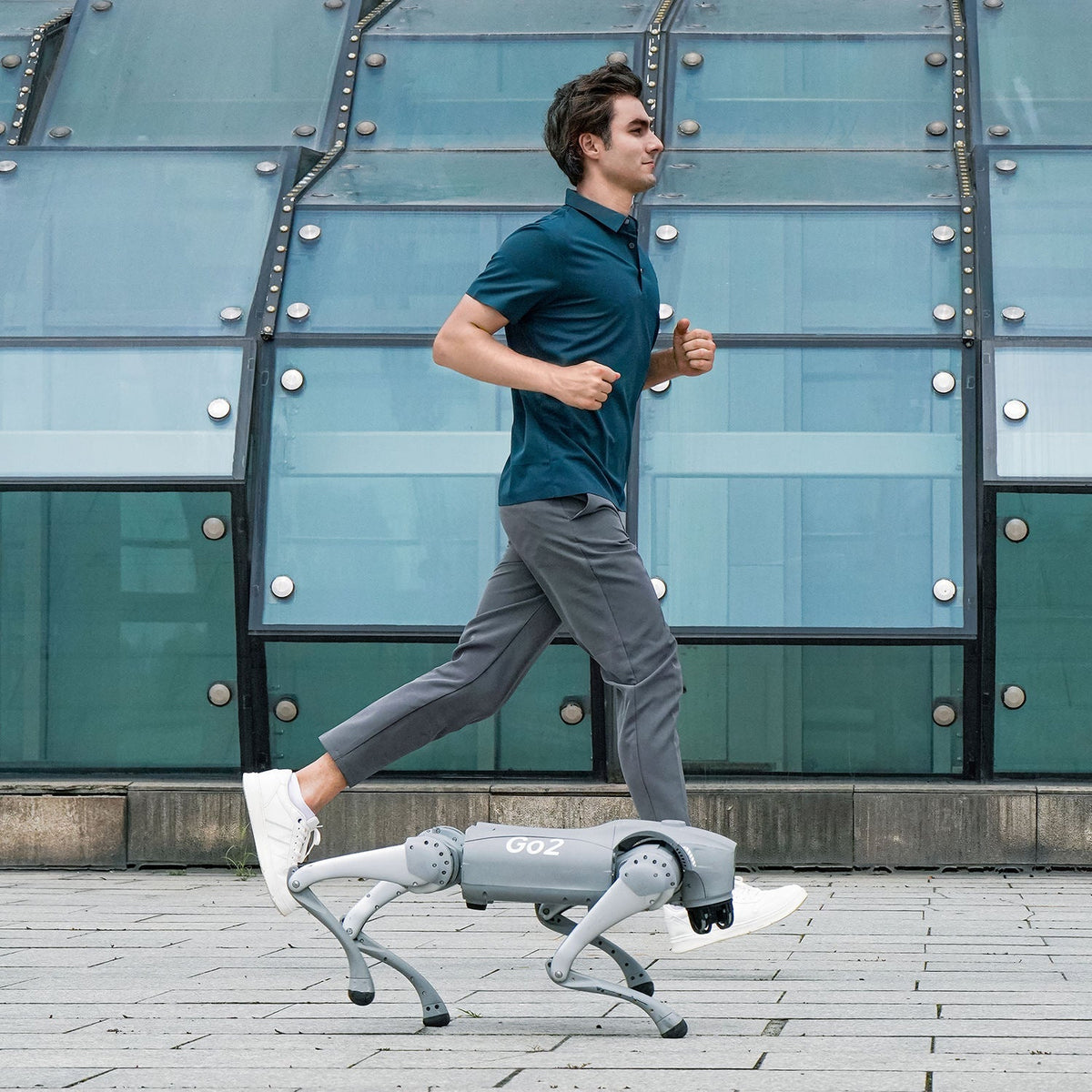 Unitree Go2 New Creature of Embodied AI Robot Dog